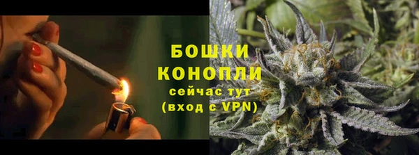 сатива Волоколамск
