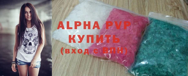 сатива Волоколамск