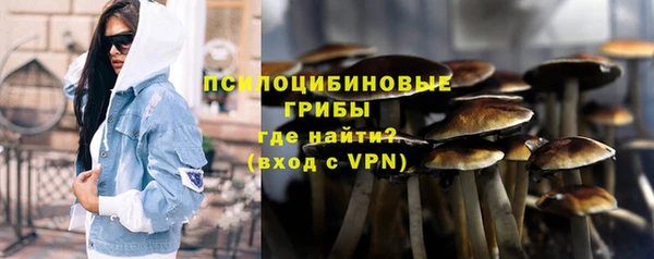 сатива Волоколамск