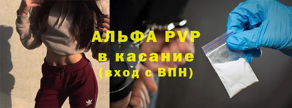 сатива Волоколамск