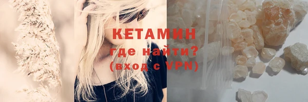 сатива Волоколамск