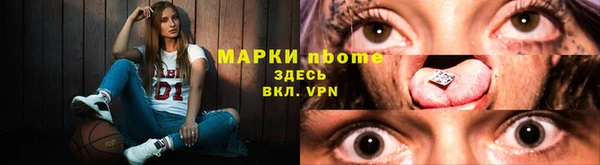 сатива Волоколамск