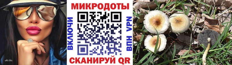 Купить где  Олонец  Псилоцибиновые грибы Psilocybine cubensis 